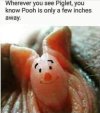 FB_IMG_1683722943809.jpg