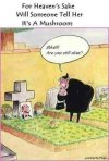 FB_IMG_1683746856338.jpg
