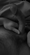 IMG_0739.jpeg