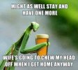 FB_IMG_1683905070538.jpg