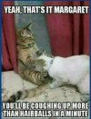 FB_IMG_1684093852309.jpg