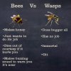 FB_IMG_1684168831226.jpg