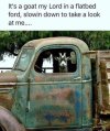 FB_IMG_1684174904343.jpg