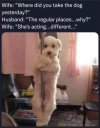 FB_IMG_1684328526077.jpg