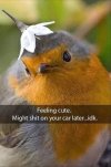 FB_IMG_1684442644193.jpg
