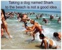 FB_IMG_1684694892288.jpg