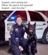 FB_IMG_1684694970558.jpg