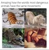FB_IMG_1684695204251.jpg