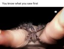 FB_IMG_1684695336575.jpg