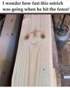 FB_IMG_1684696092274.jpg