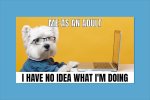 IMG_1070.jpeg