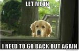 IMG_6771.jpeg
