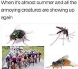 FB_IMG_1684916332106.jpg
