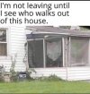 FB_IMG_1684916501319.jpg