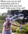 FB_IMG_1685191609621.jpg