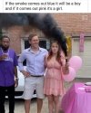 FB_IMG_1685194060864.jpg