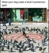FB_IMG_1685293274358.jpg