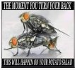 FB_IMG_1685293469071.jpg