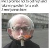 FB_IMG_1685293705891.jpg