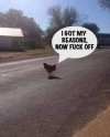 FB_IMG_1685297239327.jpg