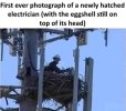 FB_IMG_1685538572269.jpg