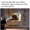 IMG_1135.jpeg