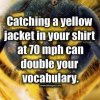 FB_IMG_1685624777939.jpg
