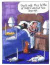FB_IMG_1685626478189.jpg