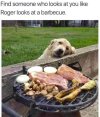 IMG_1145.jpeg