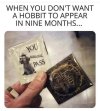 FB_IMG_1685630736578.jpg