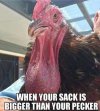 FB_IMG_1685700059656.jpg