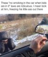 FB_IMG_1685700169260.jpg