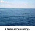 IMG_1146.jpeg