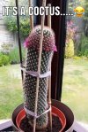IMG_1148.jpeg
