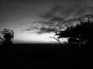 20230602_220416.jpeg