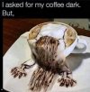 FB_IMG_1685818884671.jpg