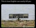 FB_IMG_1685908293500.jpg