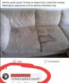 FB_IMG_1686057818273.jpg