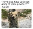 FB_IMG_1686058667482.jpg