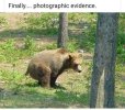 IMG_1180.jpeg