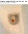 FB_IMG_1686333367526.jpg
