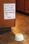 FB_IMG_1686335097520.jpg