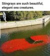 FB_IMG_1686135369496.jpg