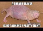 FB_IMG_1686335298623.jpg