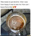 FB_IMG_1686418416646.jpg