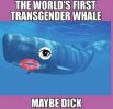 IMG_1193.jpeg