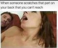 FB_IMG_1686425887568.jpg