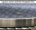 FB_IMG_1686476282776.jpg
