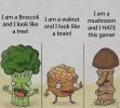 FB_IMG_1686477744680.jpg