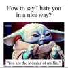 FB_IMG_1686593735094.jpg